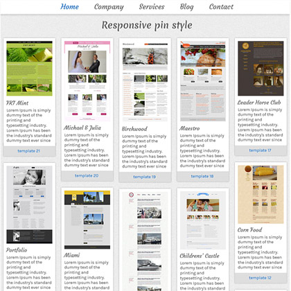 网站攻击软件工具